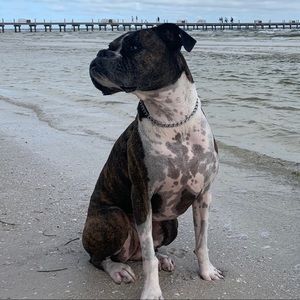 Meet your Posher, Alexis